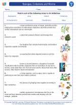 Sponges, Cnidarians and Worms. 6th Grade Science Worksheets and Answer ...