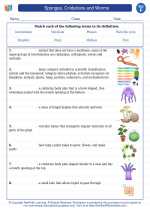 Sponges, Cnidarians and Worms. 6th Grade Science Worksheets and Answer