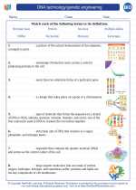 Biology - High School - Vocabulary: DNA technology/genetic engineering