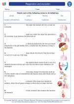 Respiration and excretion. 8th Grade Science Worksheets and Answer key