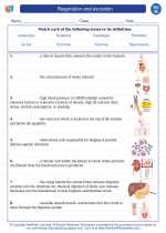 respiration and excretion 8th grade science worksheets and answer key