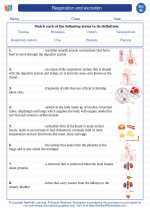 Respiration and excretion. 8th Grade Science Worksheets and Answer key