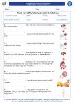 Science - Eighth Grade - Vocabulary: Respiration and excretion