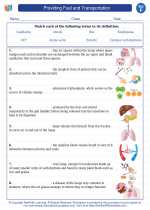 Science - Sixth Grade - Vocabulary: Providing Fuel and Transportation