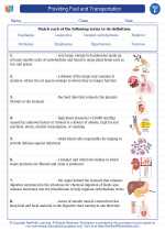 Science - Sixth Grade - Vocabulary: Providing Fuel and Transportation