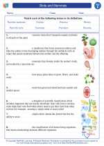 Science - Sixth Grade - Vocabulary: Birds and Mammals