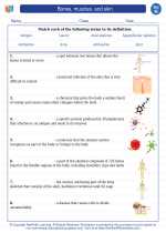 Science - Eighth Grade - Vocabulary: Bones, muscles, and skin