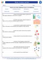 Bones, muscles, and skin. 8th Grade Science Worksheets and Answer key ...