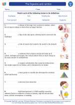 Science - Eighth Grade - Vocabulary: The Digestive and nutrition