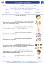 Science - Eighth Grade - Vocabulary: The Digestive and nutrition