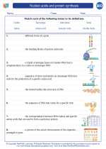 Biology - High School - Vocabulary: Nucleic acids and protein synthesis