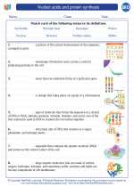 Biology - High School - Vocabulary: Nucleic acids and protein synthesis