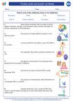 Biology - High School - Vocabulary: Nucleic acids and protein synthesis