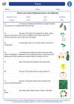 Science - Second Grade - Vocabulary: Plants