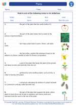 plants second grade science worksheets and answer keys study guides and vocabulary sets