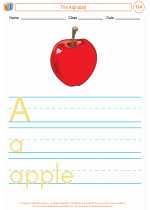 English Language Arts - First Grade - Activity Lesson: Alphabetizing