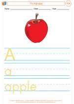 English Language Arts - First Grade - Activity Lesson: Alphabetizing