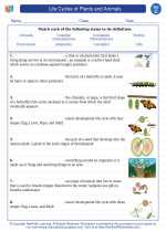 life cycles of plants and animals 3rd grade science worksheets vocabulary sets and answer key