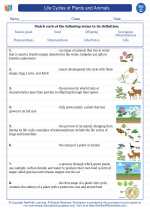 Life Cycles of Plants and Animals. 3rd Grade Science Worksheets ...