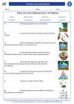 energy and ecosystems 5th grade science worksheets and answer keys