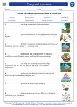 Science - Fifth Grade - Vocabulary: Energy and ecosystems