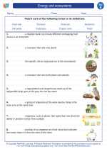 Energy and ecosystems. 5th Grade Science Worksheets and Answer keys