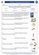 Mollusks, Arthropods and Echinoderms. 6th Grade Science Worksheets and