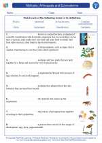 Science - Sixth Grade - Vocabulary: Mollusks, Arthropods and Echinoderms
