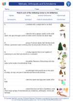 Mollusks, Arthropods and Echinoderms. 6th Grade Science Worksheets and