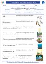 Science - Seventh Grade - Vocabulary: Ecosystems, food chains and food webs