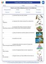 Biology - High School - Vocabulary: Food Chains and Food Webs