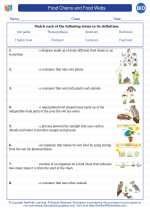 Biology - High School - Vocabulary: Food Chains and Food Webs