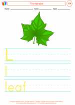 English Language Arts - First Grade - Activity Lesson: Alphabetizing