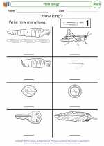 Mathematics - Kindergarten - Worksheet: How long?