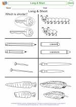 Mathematics - Kindergarten - Worksheet: Long & Short