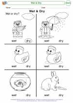 Mathematics - Kindergarten - Worksheet: Wet & Dry