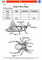 Science - Kindergarten - Worksheet: Bugs