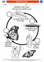 Science - Kindergarten - Worksheet: Butterfly life cycle