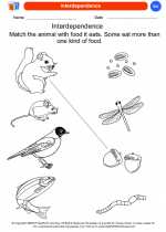 Science - Kindergarten - Worksheet: Interdependence