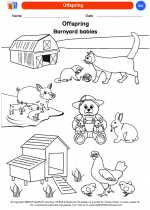 Science - Kindergarten - Worksheet: Offspring