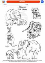 Science - Kindergarten - Worksheet: Offspring