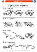 Science - Kindergarten - Worksheet: Reptiles & Fish