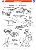 Science - Kindergarten - Worksheet: Reptiles & Fish