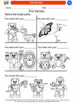 Science - Kindergarten - Worksheet: Five Senses