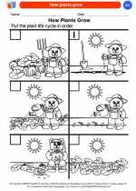 Science - Kindergarten - Worksheet: How plants grow