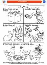 Science - Kindergarten - Worksheet: Living things
