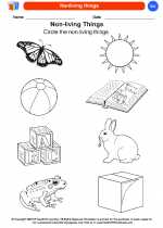 Science - Kindergarten - Worksheet: Nonliving things