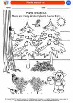 Science - Kindergarten - Worksheet: Plants around us