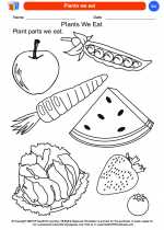 Science - Kindergarten - Worksheet: Plants we eat