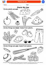 Science - Kindergarten - Worksheet: Plants we use